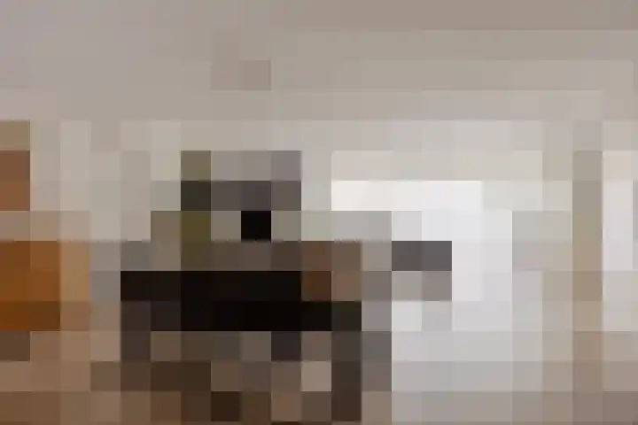 Victor Slingelandstraat 3 Oosterhout thumbnail 10