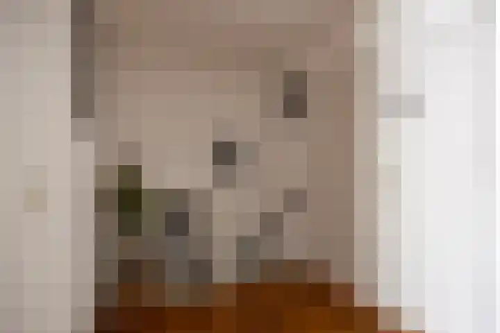 Victor Slingelandstraat 3 Oosterhout thumbnail 22