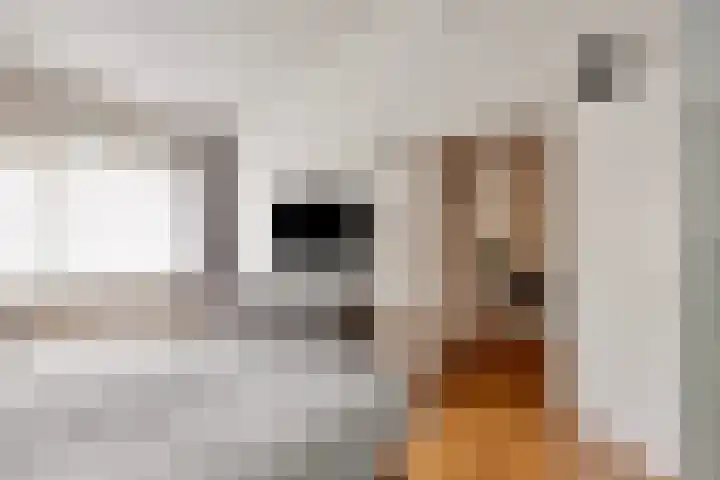 Victor Slingelandstraat 3 Oosterhout thumbnail 24