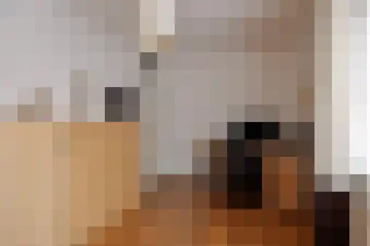 Victor Slingelandstraat 3 Oosterhout thumbnail 30
