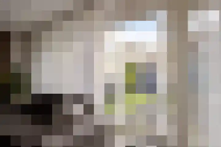 Victor Slingelandstraat 3 Oosterhout thumbnail 36