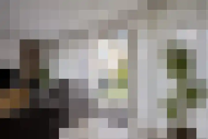 Victor Slingelandstraat 3 Oosterhout thumbnail 37