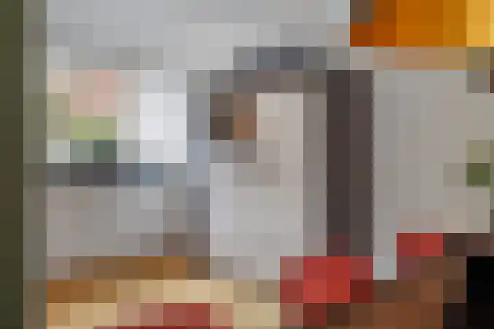 Victor Slingelandstraat 9 Oosterhout thumbnail 19