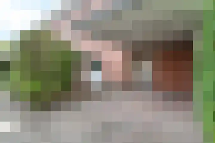 Victor Slingelandstraat 9 Oosterhout thumbnail 4