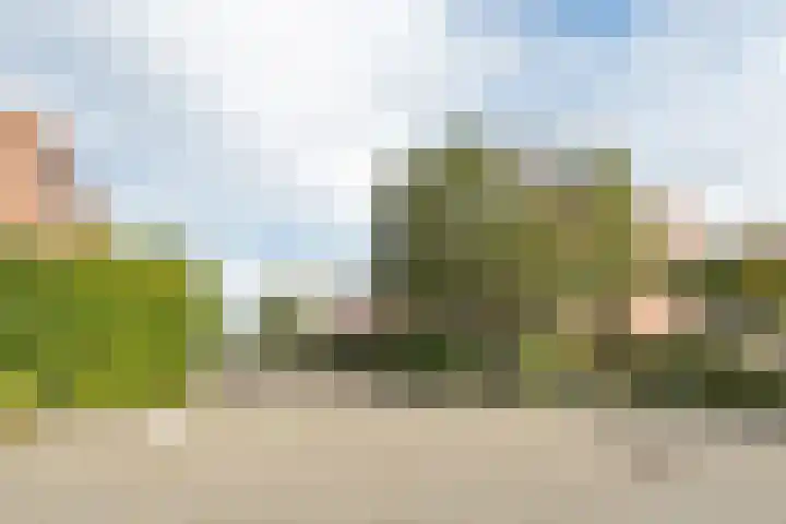 Victor Slingelandstraat 9 Oosterhout thumbnail 42