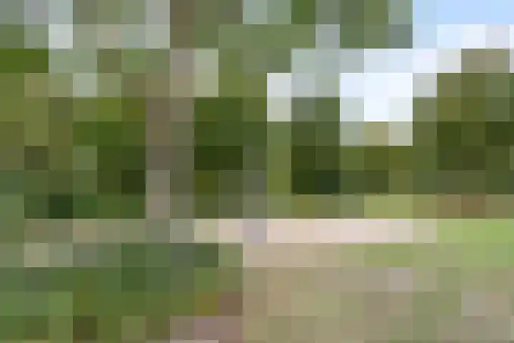 Victor Slingelandstraat 9 Oosterhout thumbnail 43