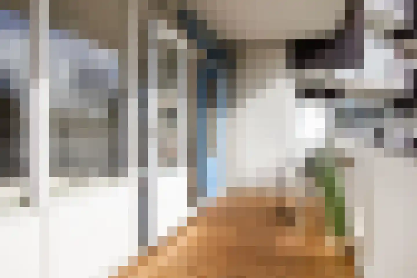 Victor van Vrieslandstraat 33 Haarlem thumbnail 27