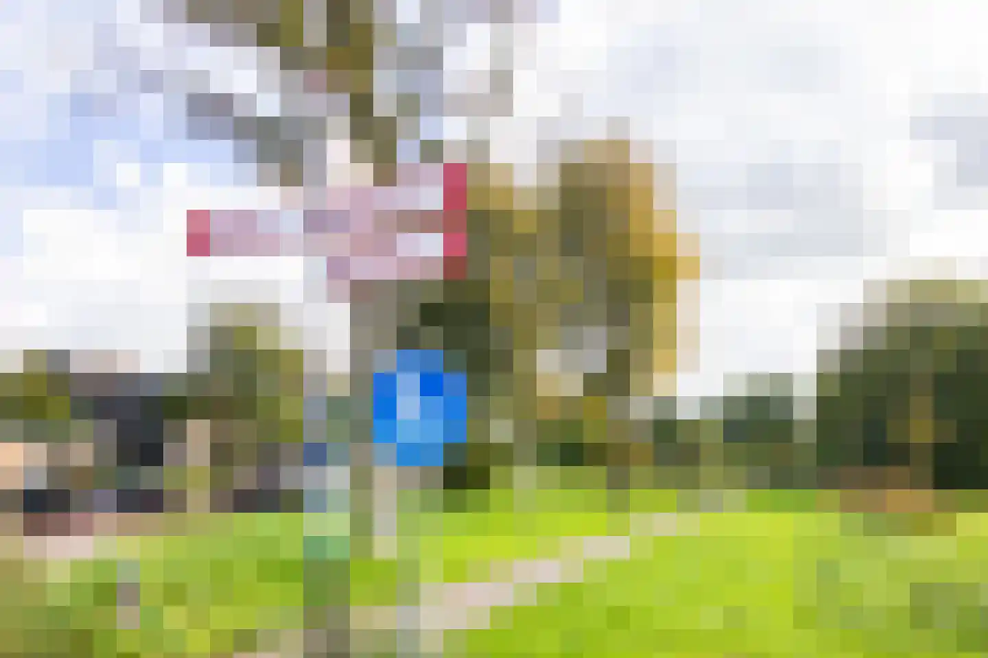 Victor van Vrieslandstraat 33 Haarlem thumbnail 34