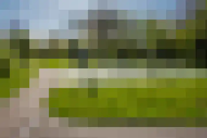Victor van Vrieslandstraat 52 Haarlem thumbnail 23