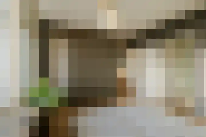 Victor van Vrieslandstraat 52 Haarlem thumbnail 9