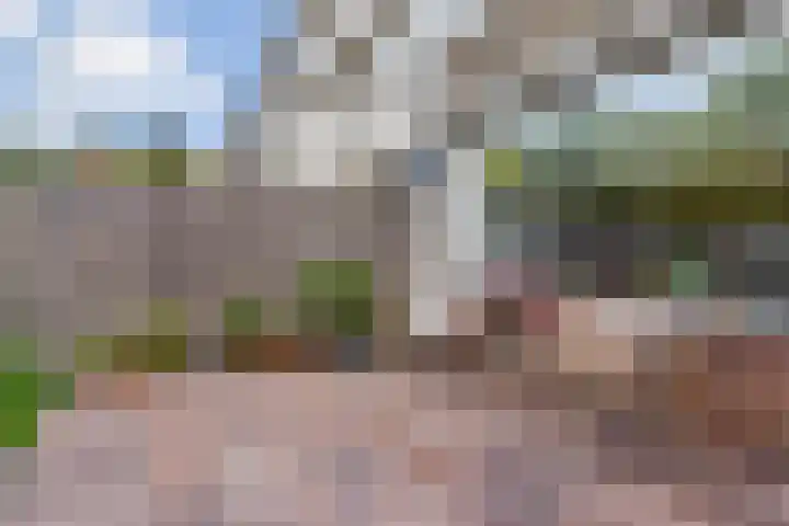 Victordal 13 Valkenswaard thumbnail 24
