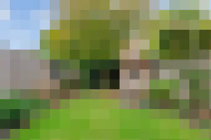 Victordal 13 Valkenswaard thumbnail 25