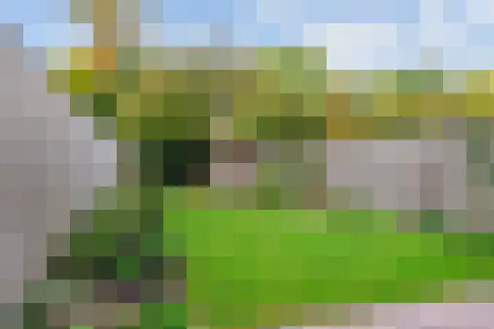 Victordal 13 Valkenswaard thumbnail 4