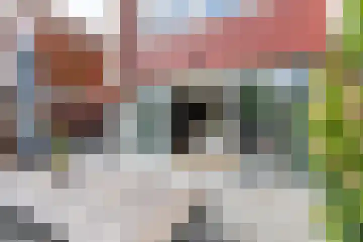Victoria 10 Den Hoorn thumbnail 13