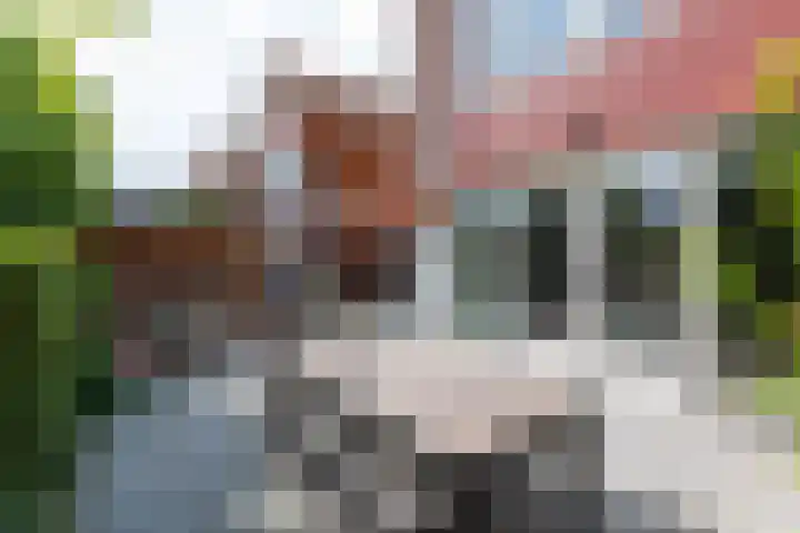 Victoria 10 Den Hoorn thumbnail 14