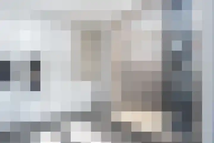 Victoria Regiastraat 15 Almere thumbnail 12