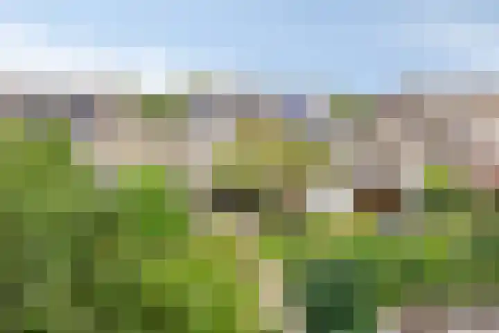 Victoria Regiastraat 42 Almere thumbnail 31
