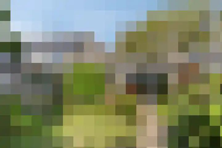 Victoria Regiastraat 42 Almere thumbnail 33