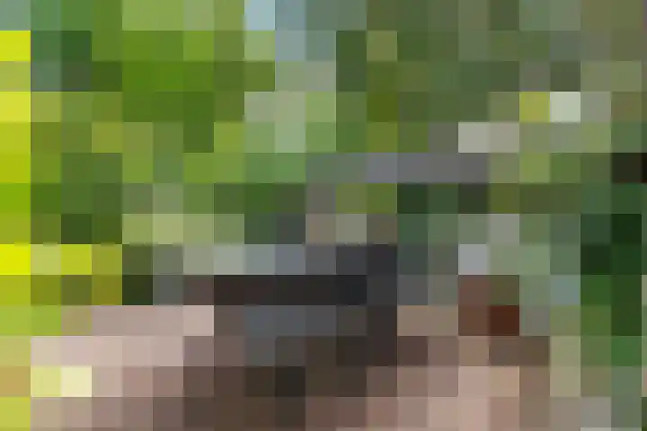 Victorialaan 12 Vught thumbnail 42