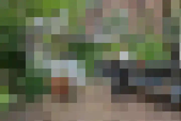 Victorialaan 12 Vught thumbnail 44