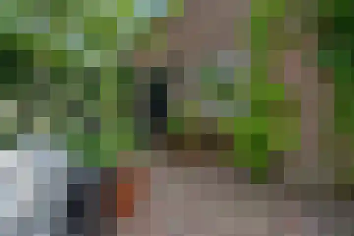 Victorialaan 12 Vught thumbnail 48
