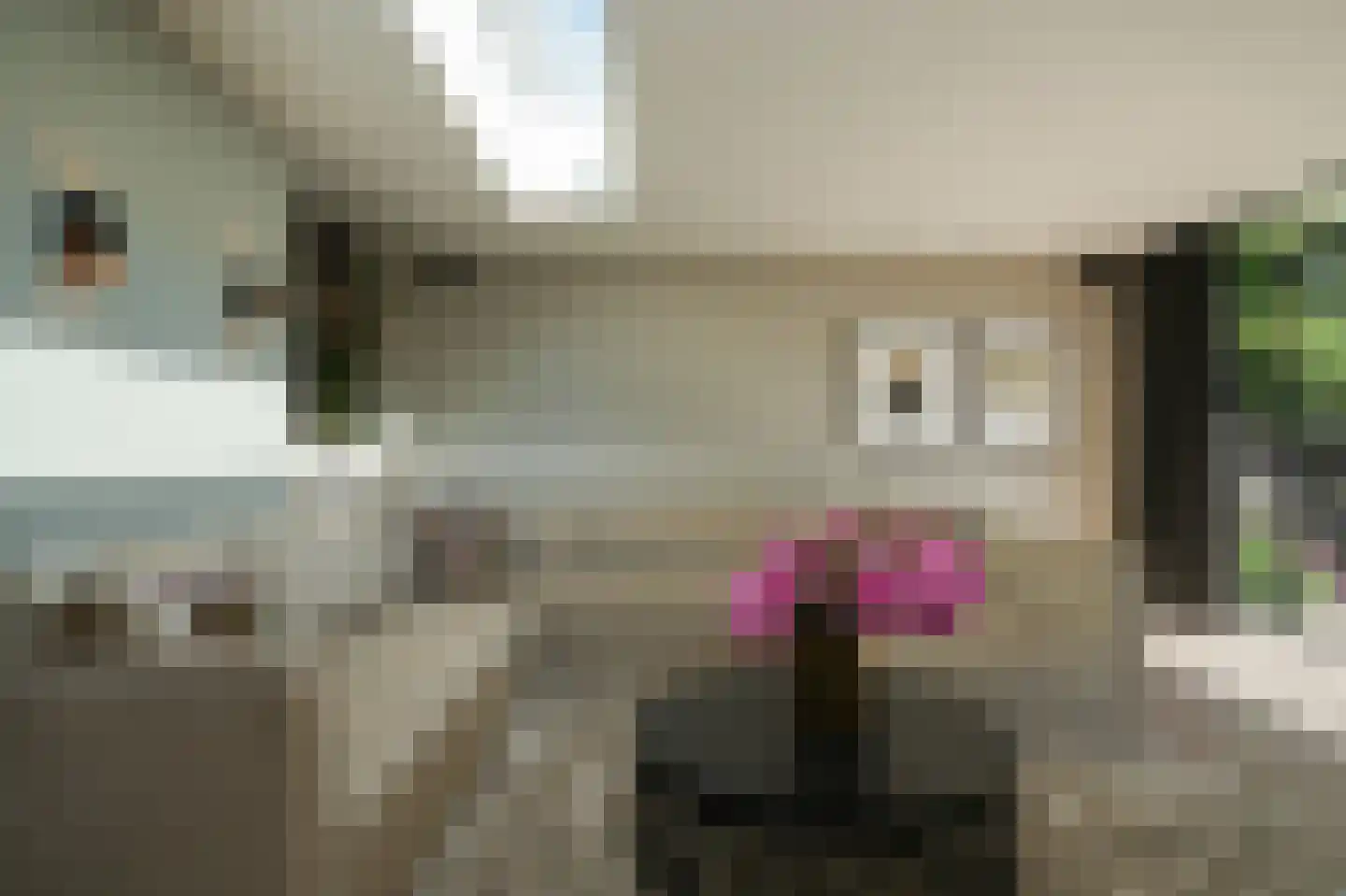 Victorialaan 18 Vught thumbnail 18