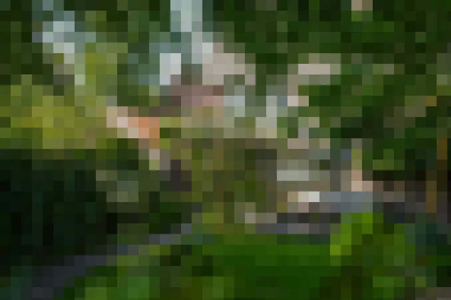 Victorialaan 18 Vught thumbnail 48
