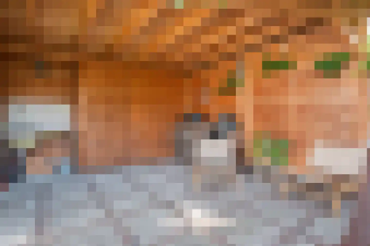 Victorialaan 6 Vught thumbnail 43