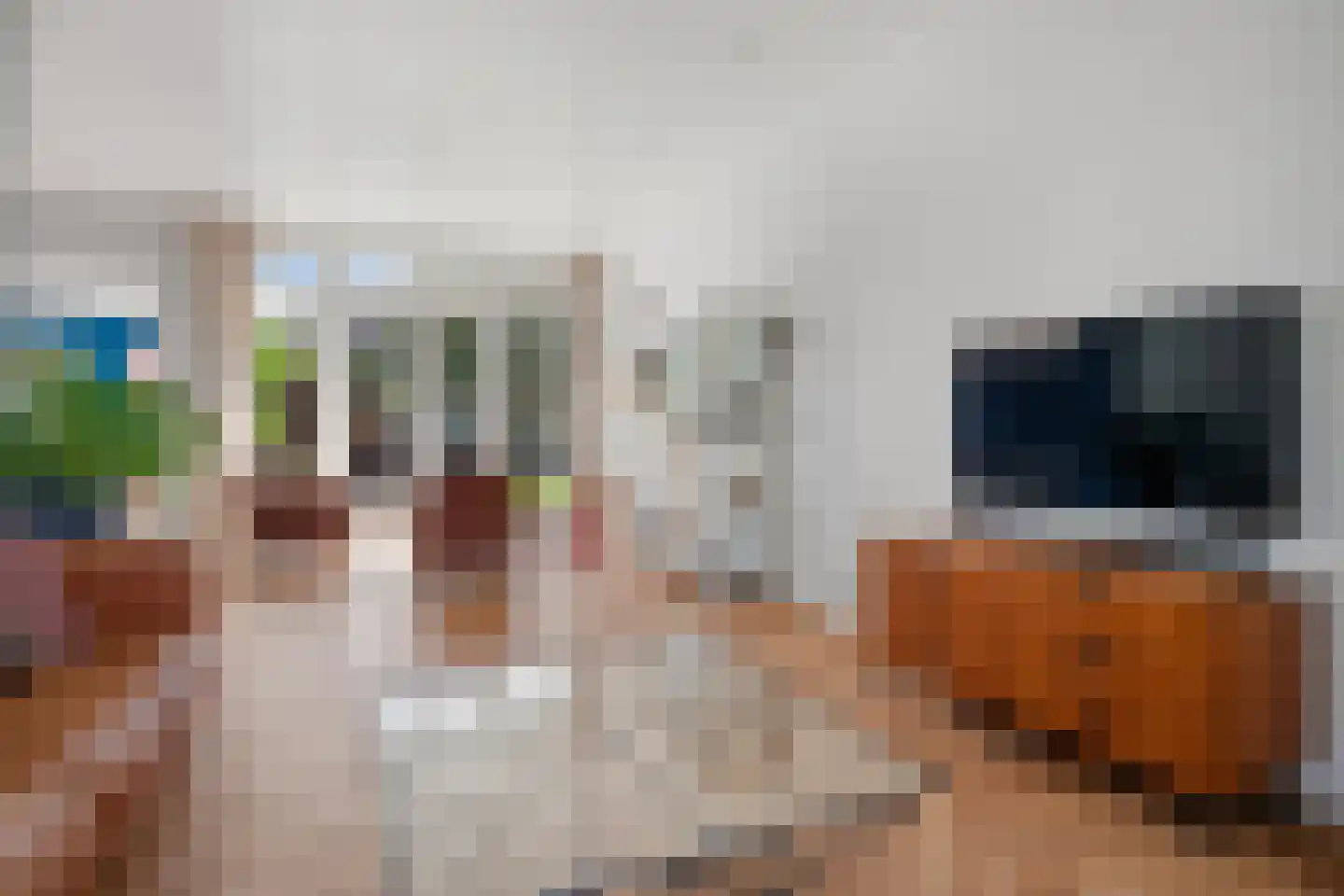 Victorialaan 6 Vught thumbnail 9