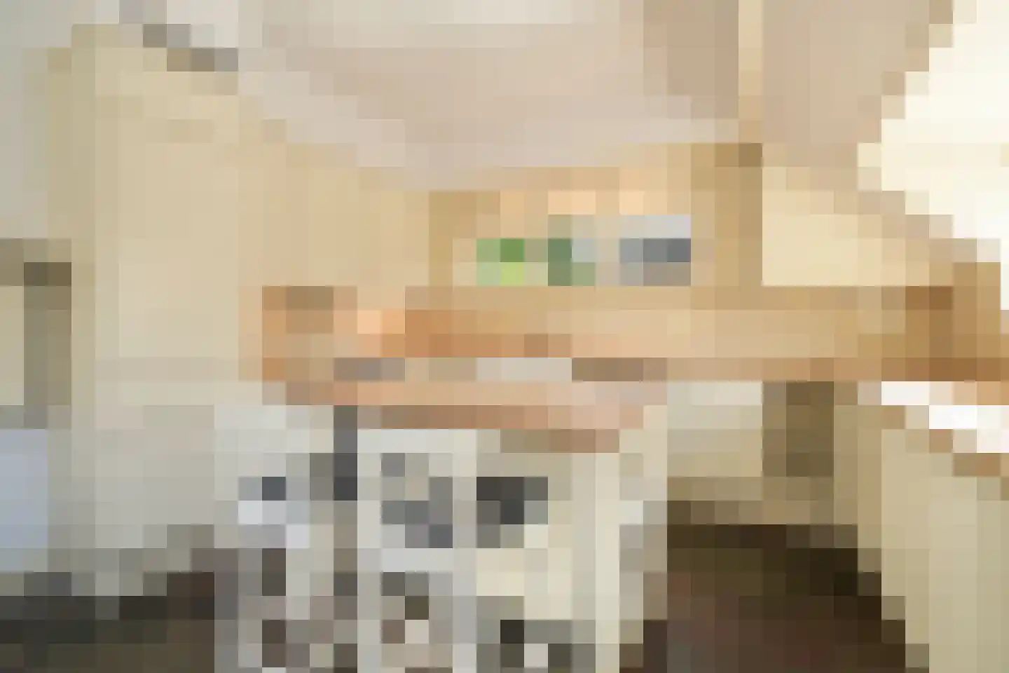 Victorialaan 8 Wassenaar thumbnail 32