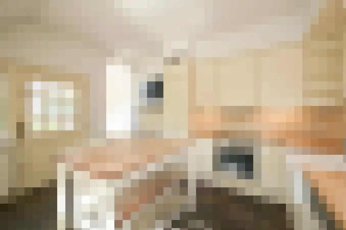 Victorialaan 8 Wassenaar thumbnail 33