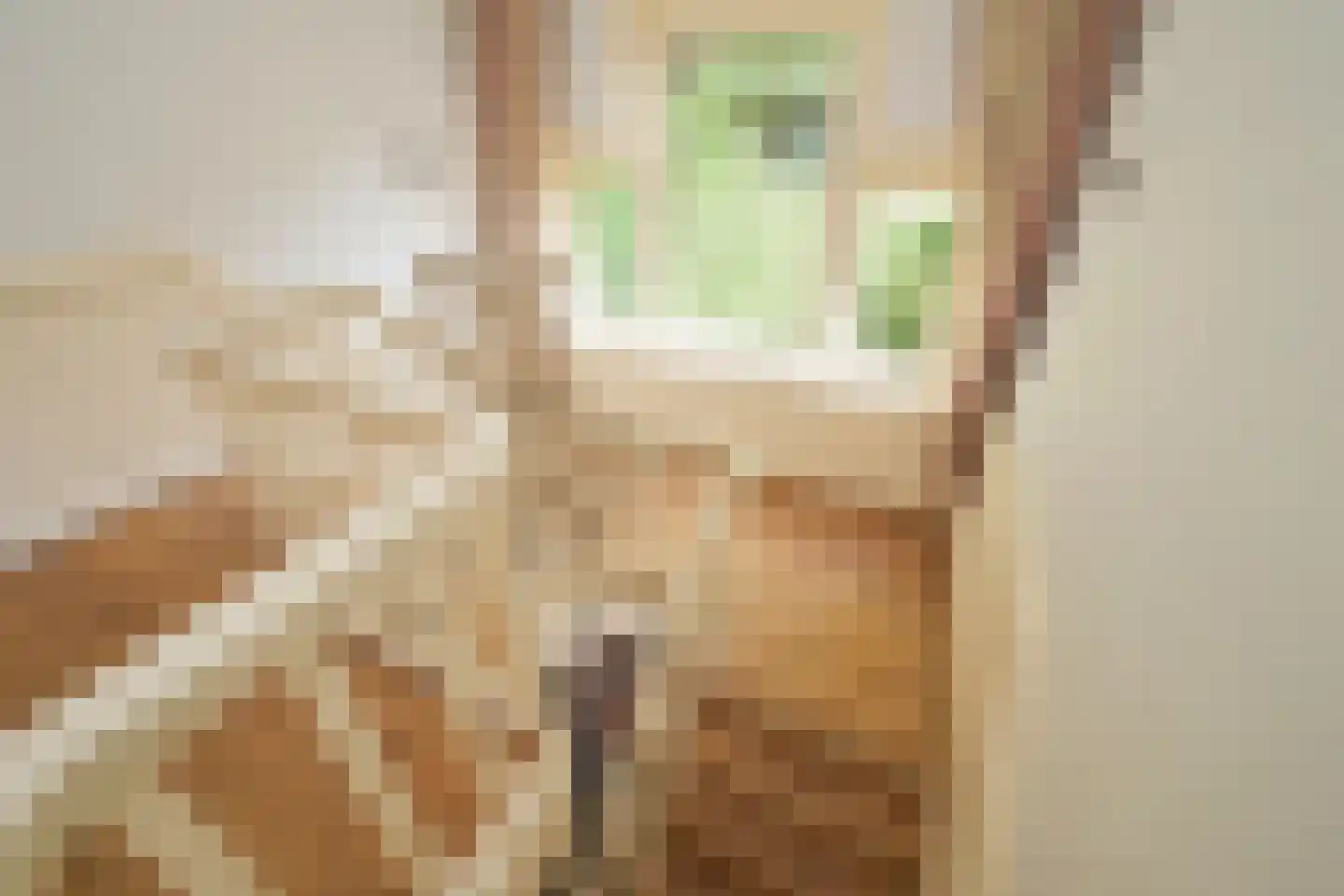 Victorialaan 8 Wassenaar thumbnail 40