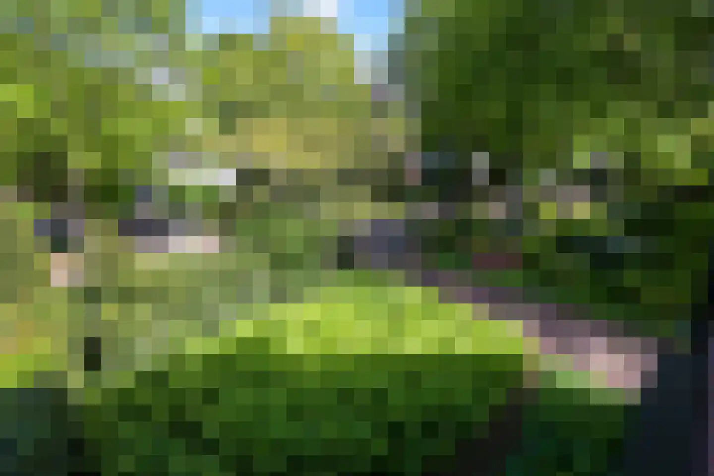 Victorialaan 8 Wassenaar thumbnail 53