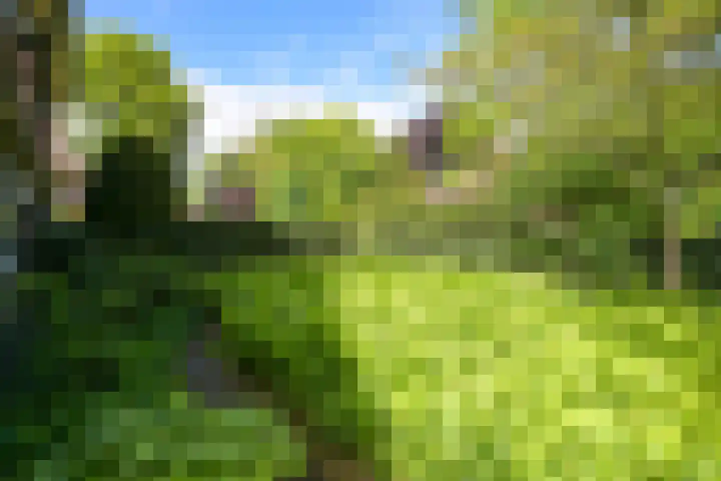 Victorialaan 8 Wassenaar thumbnail 6