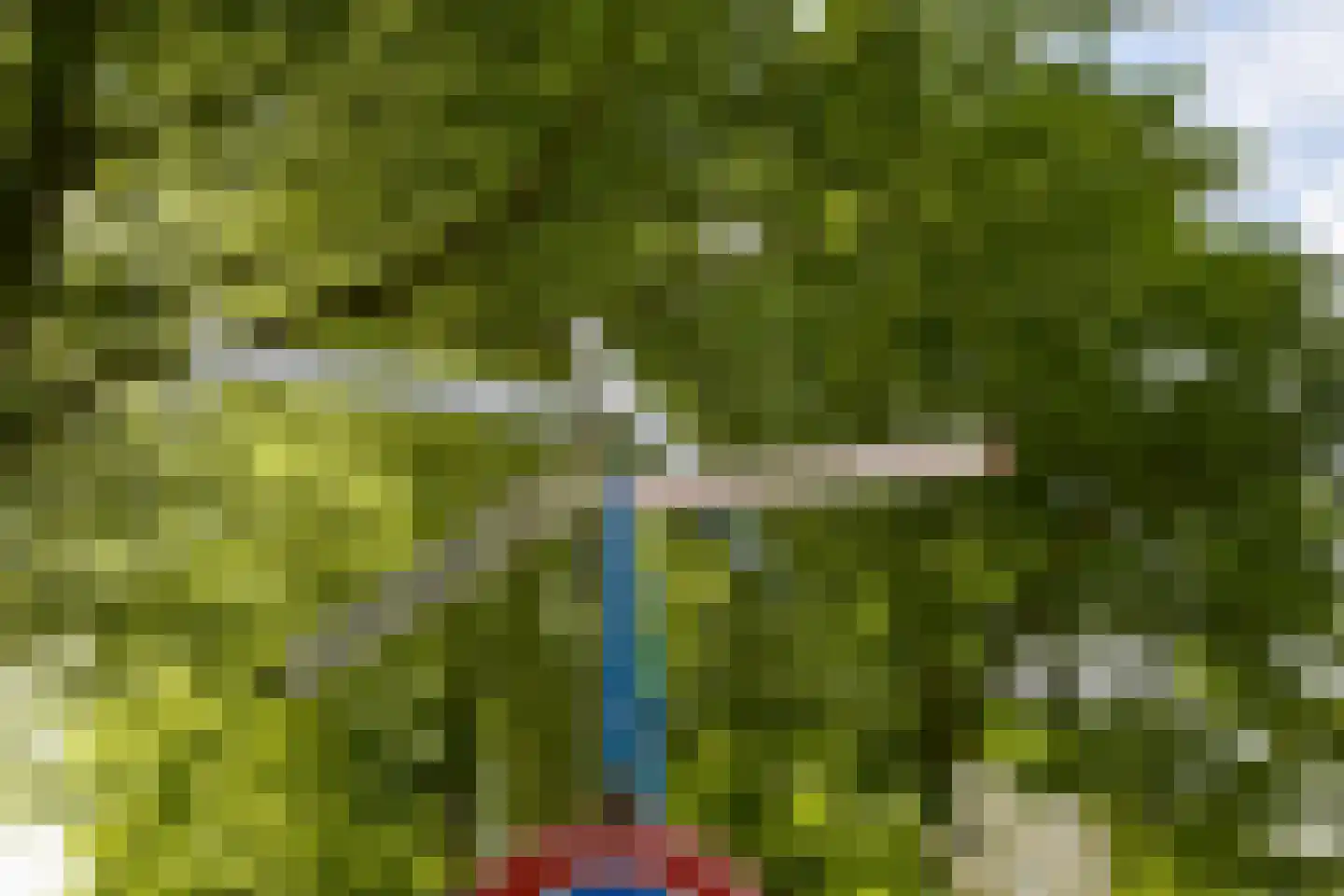 Victorialaan 8 Wassenaar thumbnail 66