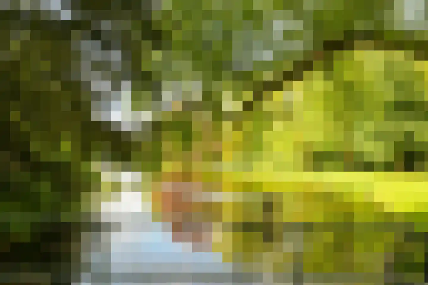 Victorialaan 8 Wassenaar thumbnail 68