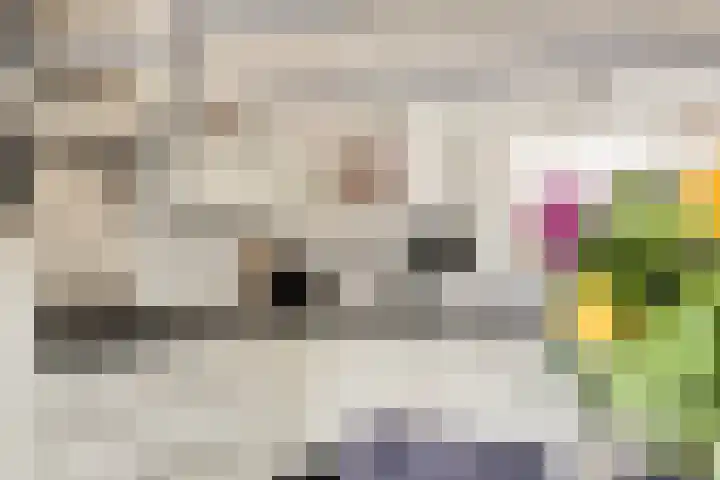 Victoriastraat 12 Kwadendamme thumbnail 15