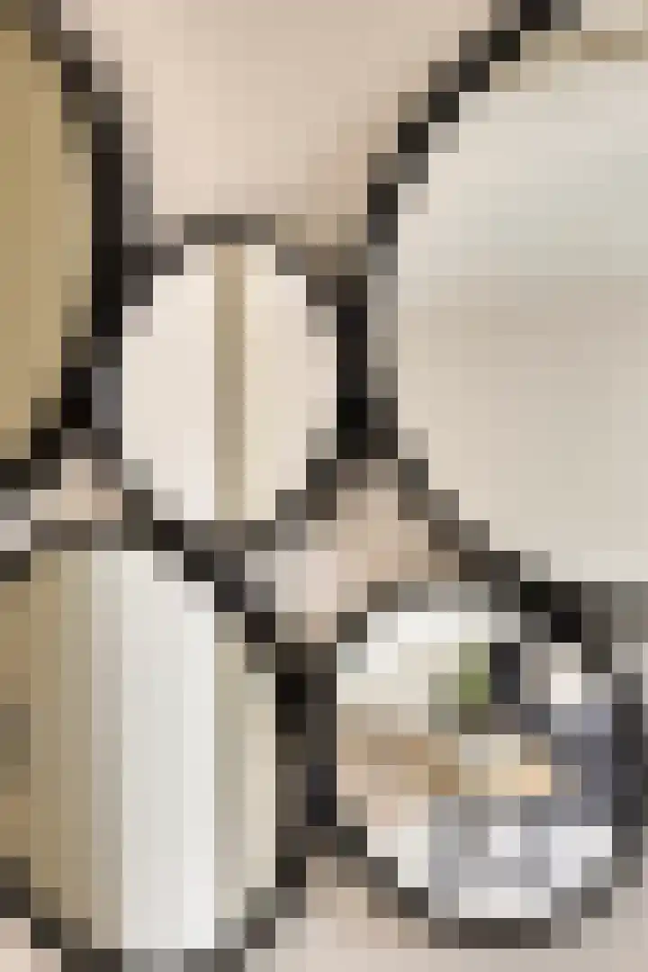 Victoriastraat 12 Kwadendamme thumbnail 17