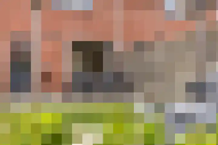 Victoriastraat 12 Kwadendamme thumbnail 33