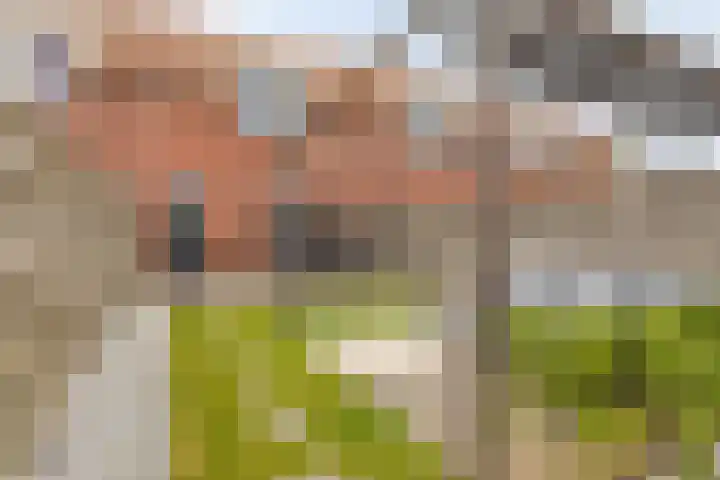 Victoriastraat 12 Kwadendamme thumbnail 34