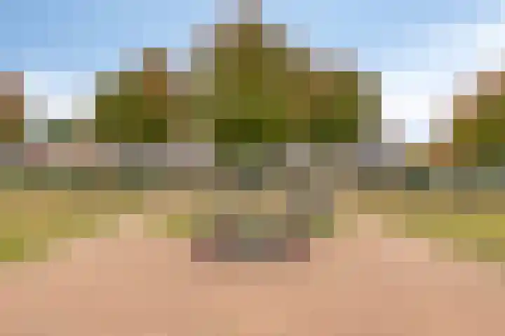 Victoriastraat 12 Kwadendamme thumbnail 38