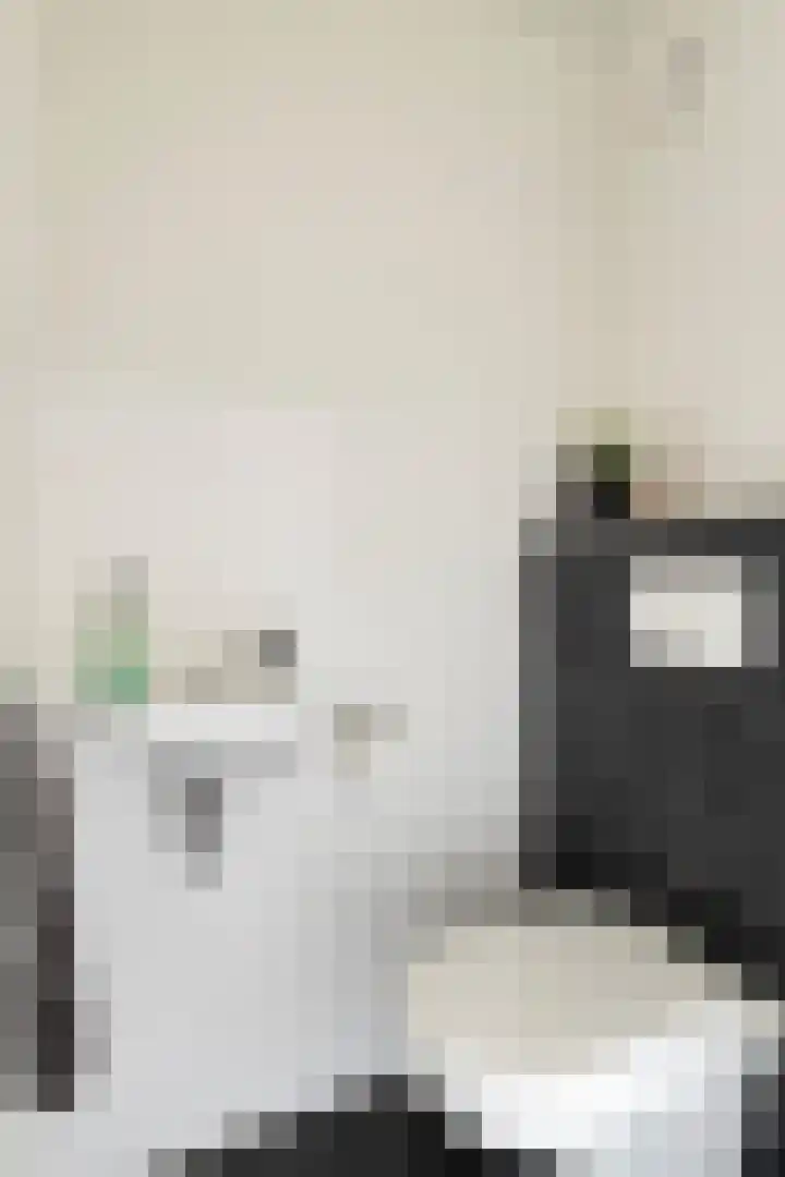 Victoriastraat 12 Kwadendamme thumbnail 7