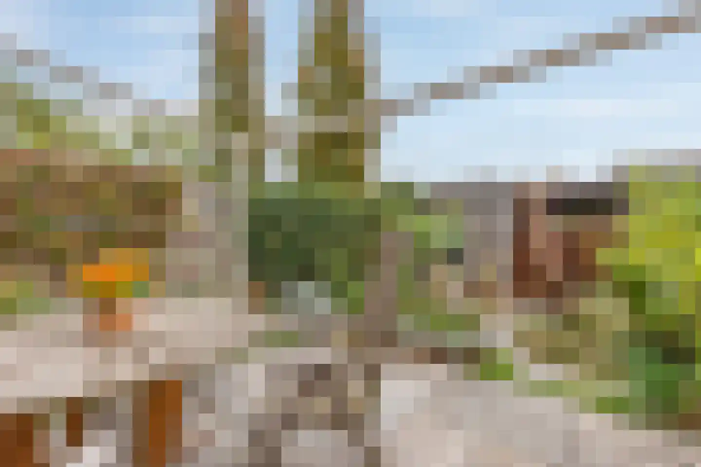 Victoriastraat 13 Geleen thumbnail 15