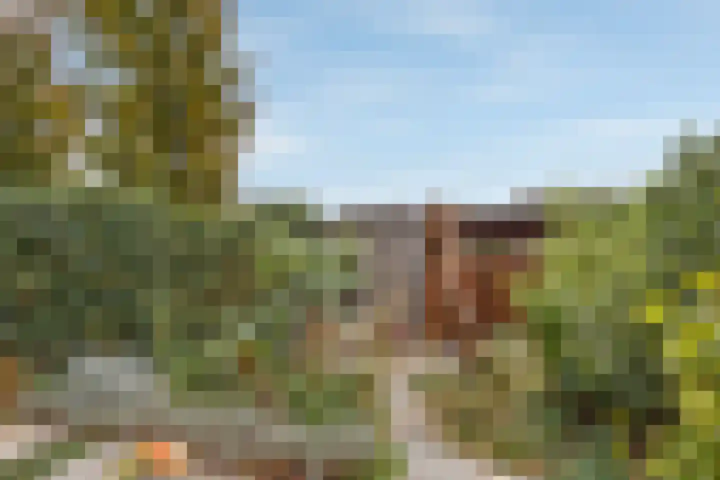 Victoriastraat 13 Geleen thumbnail 16