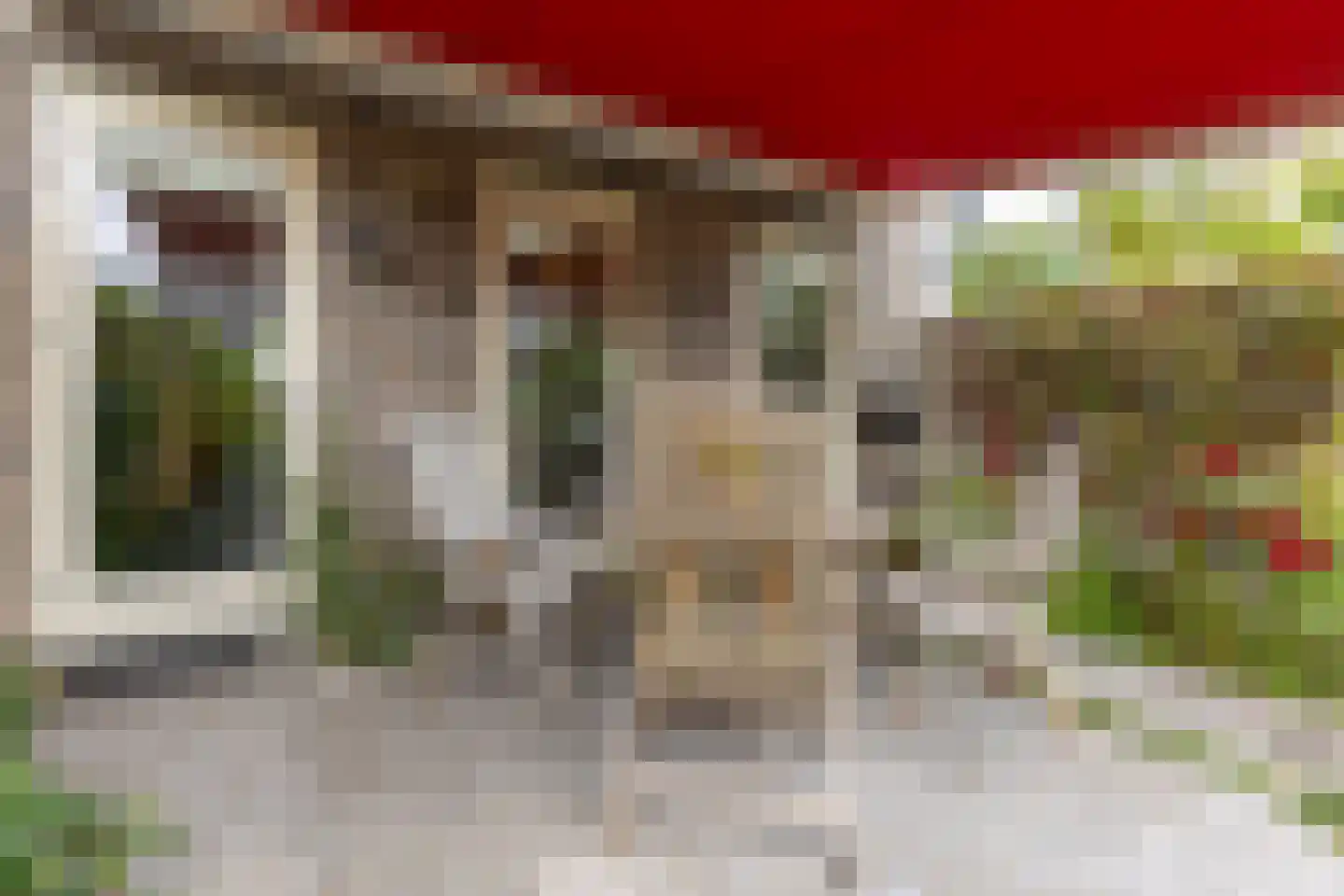 Victoriastraat 13 Geleen thumbnail 23