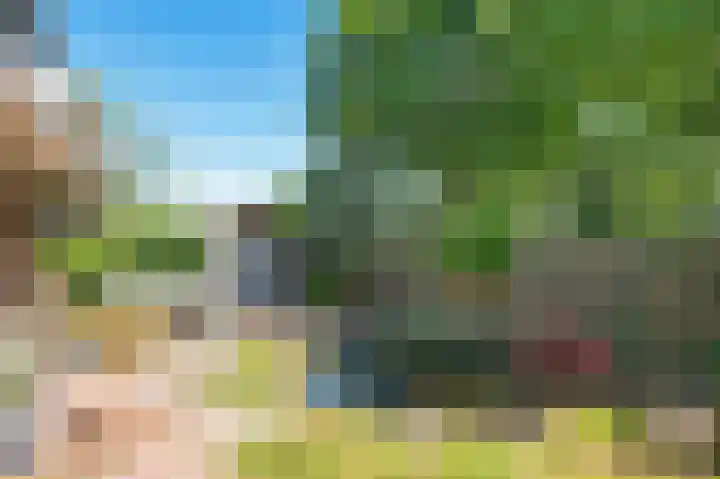 Victoriberg 137 Noordwijkerhout thumbnail 23