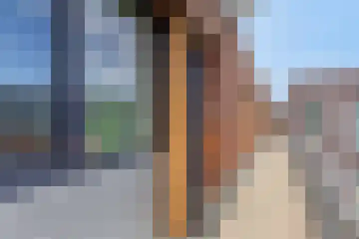 Victoriberg 49 O Noordwijkerhout thumbnail 7
