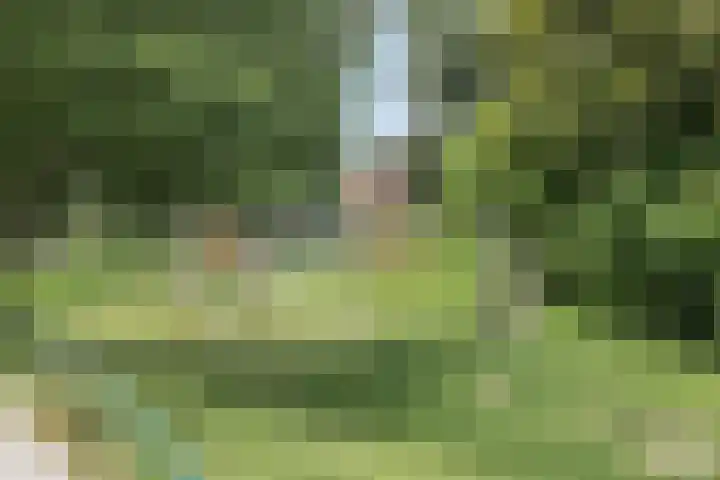 Victoriberg 49 V3 Noordwijkerhout thumbnail 26