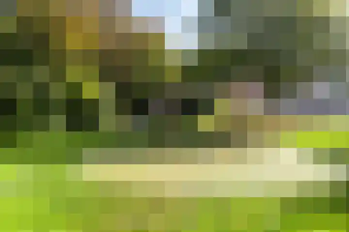 Victoriberg 49 V5 Noordwijkerhout thumbnail 28