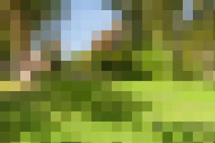Victoriberg 49 V5 Noordwijkerhout thumbnail 29